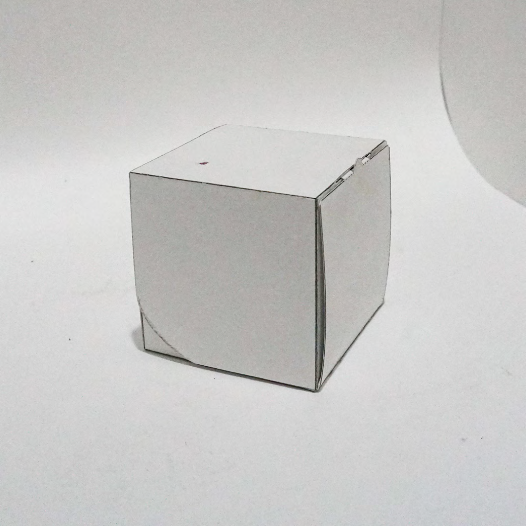 Ento Logo Packaging Prototype 1